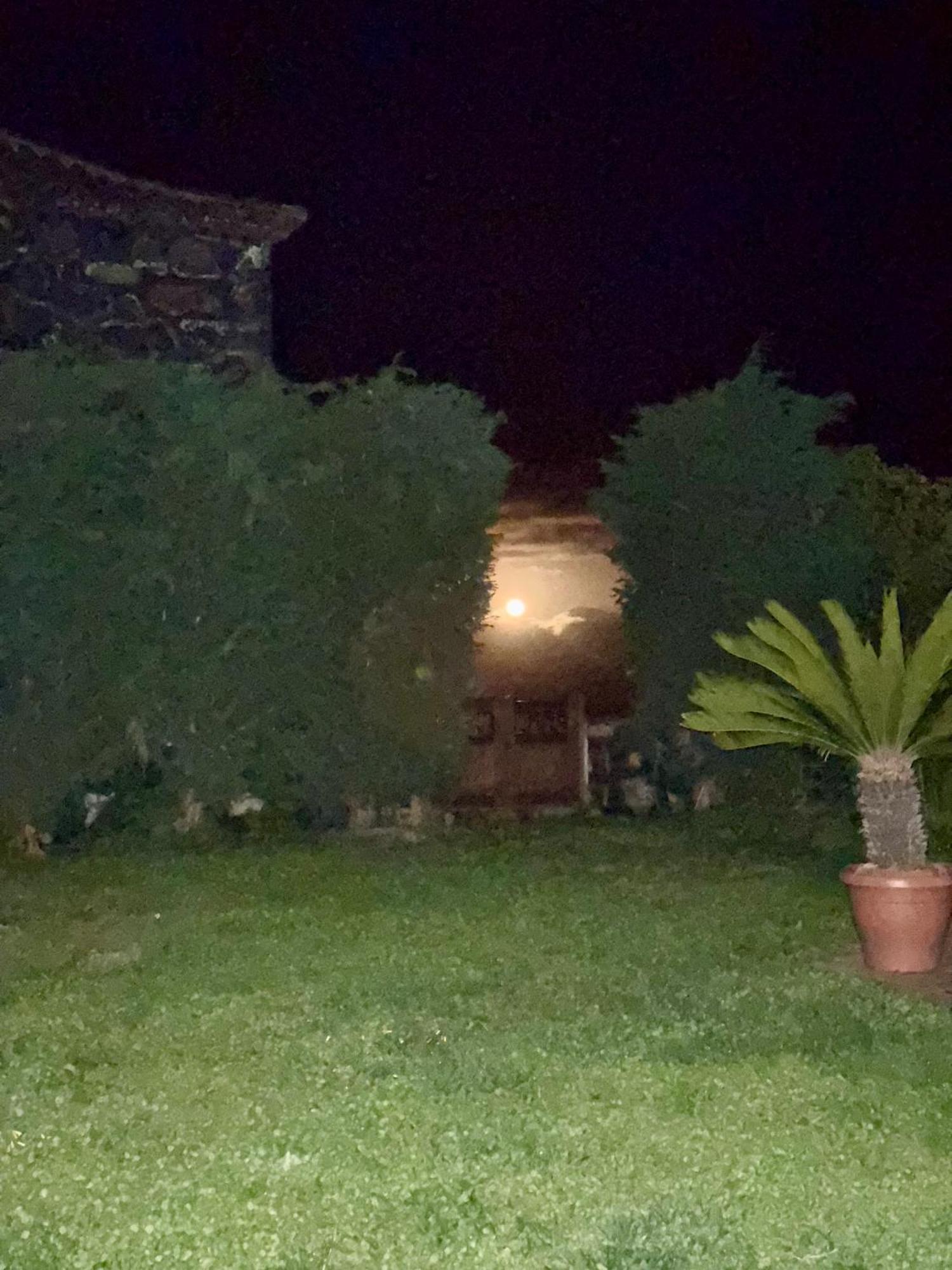 Casa Rural Quinta Los Naranjos Tigalate Buitenkant foto