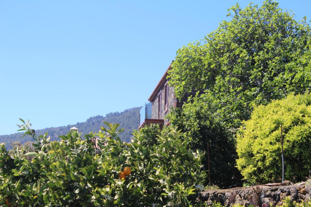 Casa Rural Quinta Los Naranjos Tigalate Buitenkant foto
